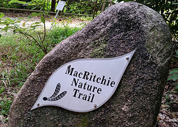 Macritchie Reservior Park Infomation Page